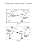 POLYNUCLEOTIDES ENCODING MUTANT HYDROLASE PROTEINS WITH ENHANCED KINETICS     AND FUNCTIONAL EXPRESSION diagram and image