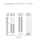 POLYNUCLEOTIDES ENCODING MUTANT HYDROLASE PROTEINS WITH ENHANCED KINETICS     AND FUNCTIONAL EXPRESSION diagram and image