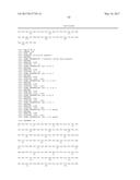 POLYNUCLEOTIDES ENCODING MUTANT HYDROLASE PROTEINS WITH ENHANCED KINETICS     AND FUNCTIONAL EXPRESSION diagram and image