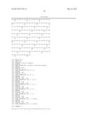 POLYNUCLEOTIDES ENCODING MUTANT HYDROLASE PROTEINS WITH ENHANCED KINETICS     AND FUNCTIONAL EXPRESSION diagram and image