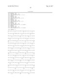 POLYNUCLEOTIDES ENCODING MUTANT HYDROLASE PROTEINS WITH ENHANCED KINETICS     AND FUNCTIONAL EXPRESSION diagram and image