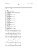 POLYNUCLEOTIDES ENCODING MUTANT HYDROLASE PROTEINS WITH ENHANCED KINETICS     AND FUNCTIONAL EXPRESSION diagram and image