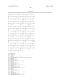 POLYNUCLEOTIDES ENCODING MUTANT HYDROLASE PROTEINS WITH ENHANCED KINETICS     AND FUNCTIONAL EXPRESSION diagram and image