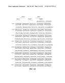 POLYNUCLEOTIDES ENCODING MUTANT HYDROLASE PROTEINS WITH ENHANCED KINETICS     AND FUNCTIONAL EXPRESSION diagram and image