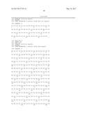 POLYNUCLEOTIDES ENCODING MUTANT HYDROLASE PROTEINS WITH ENHANCED KINETICS     AND FUNCTIONAL EXPRESSION diagram and image