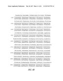 POLYNUCLEOTIDES ENCODING MUTANT HYDROLASE PROTEINS WITH ENHANCED KINETICS     AND FUNCTIONAL EXPRESSION diagram and image