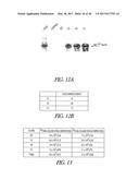 POLYNUCLEOTIDES ENCODING MUTANT HYDROLASE PROTEINS WITH ENHANCED KINETICS     AND FUNCTIONAL EXPRESSION diagram and image