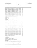 POLYNUCLEOTIDES ENCODING MUTANT HYDROLASE PROTEINS WITH ENHANCED KINETICS     AND FUNCTIONAL EXPRESSION diagram and image