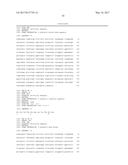 POLYNUCLEOTIDES ENCODING MUTANT HYDROLASE PROTEINS WITH ENHANCED KINETICS     AND FUNCTIONAL EXPRESSION diagram and image