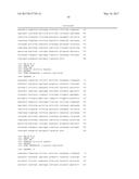 POLYNUCLEOTIDES ENCODING MUTANT HYDROLASE PROTEINS WITH ENHANCED KINETICS     AND FUNCTIONAL EXPRESSION diagram and image