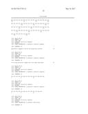 POLYNUCLEOTIDES ENCODING MUTANT HYDROLASE PROTEINS WITH ENHANCED KINETICS     AND FUNCTIONAL EXPRESSION diagram and image