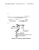 NUCLEIC ACID DRUG FOR INDUCING SKIPPING OF VARIANT EXON OF CD44 GENE AND     INCREASING EXPRESSION OF NORMAL TYPE CD44 MRNA diagram and image