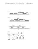 NUCLEIC ACID DRUG FOR INDUCING SKIPPING OF VARIANT EXON OF CD44 GENE AND     INCREASING EXPRESSION OF NORMAL TYPE CD44 MRNA diagram and image