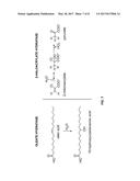 BACTERIA ENGINEERED FOR CONVERSION OF ETHYLENE TO N-BUTANOL diagram and image