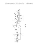 IBE FERMENTATION METHOD diagram and image