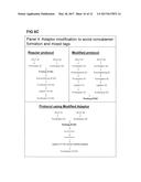 STRATEGIES FOR HIGH THROUGHPUT IDENTIFICATION AND DETECTION OF     POLYMORPHISMS diagram and image