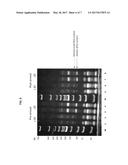 METHODS AND KITS FOR REDUCING ADAPTER-DIMER FORMATION diagram and image