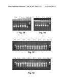 Reagents and Methods for Detecting HCV diagram and image