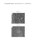 MONOCRYSTALLINE ZIRCONIA WITHOUT LOW-TEMPERATURE DEGRADATION PROPERTIES     AND METHOD FOR GROWING SAME diagram and image