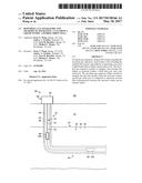 Downhole Gas Separators And Methods Of Separating A Gas From A Liquid     Within A Hydrocarbon Well diagram and image