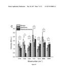 RAMAN SPECTROSCOPY SYSTEM, APPARATUS, AND METHOD FOR ANALYZING,     CHARACTERIZING, AND/OR DIAGNOSING A TYPE OR NATURE OF A SAMPLE OR A     TISSUE SUCH AS AN ABNORMAL GROWTH diagram and image