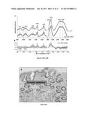 RAMAN SPECTROSCOPY SYSTEM, APPARATUS, AND METHOD FOR ANALYZING,     CHARACTERIZING, AND/OR DIAGNOSING A TYPE OR NATURE OF A SAMPLE OR A     TISSUE SUCH AS AN ABNORMAL GROWTH diagram and image