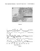 RAMAN SPECTROSCOPY SYSTEM, APPARATUS, AND METHOD FOR ANALYZING,     CHARACTERIZING, AND/OR DIAGNOSING A TYPE OR NATURE OF A SAMPLE OR A     TISSUE SUCH AS AN ABNORMAL GROWTH diagram and image