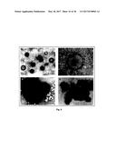 Nanoveson(TM): Treatment, Biomarkers and Diagnostic Tests for Liver     Diseases and Comormid Disease diagram and image