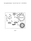 Nanoveson(TM): Treatment, Biomarkers and Diagnostic Tests for Liver     Diseases and Comormid Disease diagram and image