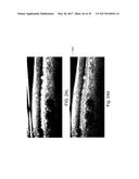 SEGMENTATION AND IDENTIFICATION OF LAYERED STRUCTURES IN IMAGES diagram and image