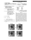 Method And Apparatus For Motion Correction And Image Enhancement For     Optical Coherence Tomography diagram and image