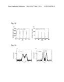 UNDERLAYER FOR PERPENDICULARLY MAGNETIZED FILM, PERPENDICULARLY MAGNETIZED     FILM STRUCTURE, PERPENDICULAR MTJ ELEMENT, AND PERPENDICULAR MAGNETIC     RECORDING MEDIUM USING THE SAME diagram and image