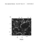 THERMOELECTRIC POLYMER COMPOSITE, METHOD OF MAKING AND USE OF SAME diagram and image