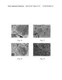 GEOPOLYMER WITH NANOPARTICLE RETARDANT AND METHOD diagram and image
