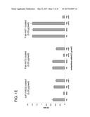 HUMAN MONOCLONAL ANTIBODIES SPECIFIC FOR CD22 diagram and image