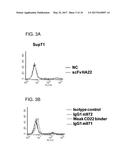 HUMAN MONOCLONAL ANTIBODIES SPECIFIC FOR CD22 diagram and image