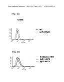 HUMAN MONOCLONAL ANTIBODIES SPECIFIC FOR CD22 diagram and image