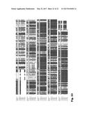 STRUCTURING FATS AND METHODS OF PRODUCING STRUCTRING FATS diagram and image