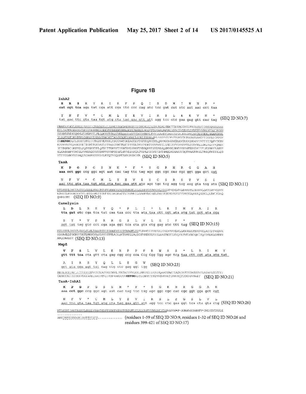 PROTEASE-DEFICIENT BACILLUS ANTHRACIS - diagram, schematic, and image 03