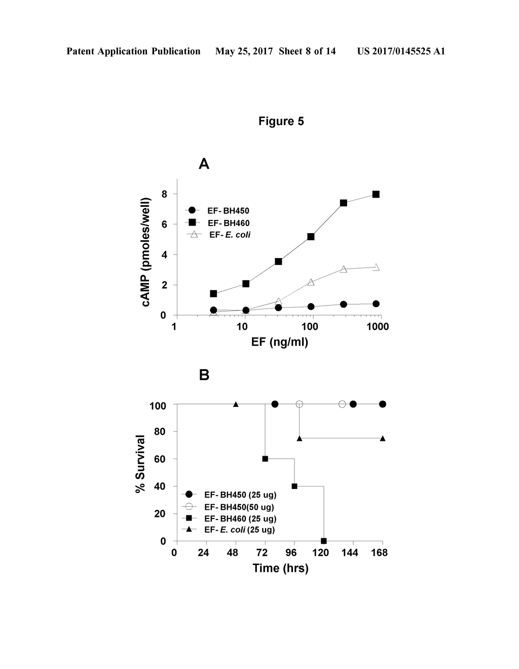 PROTEASE-DEFICIENT BACILLUS ANTHRACIS - diagram, schematic, and image 09