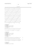 PROTEASE-DEFICIENT BACILLUS ANTHRACIS diagram and image