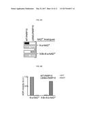 COMPOUNDS AND METHODS USED IN ASSESSING MONO-PARP ACTIVITY diagram and image