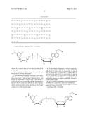 COMPOUNDS AND METHODS USED IN ASSESSING MONO-PARP ACTIVITY diagram and image