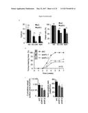 USE OF COMPOUNDS INHIBITING APELIN / APJ / GP130 SIGNALING FOR TREATING     CANCER diagram and image