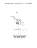 USE OF COMPOUNDS INHIBITING APELIN / APJ / GP130 SIGNALING FOR TREATING     CANCER diagram and image