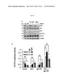 USE OF COMPOUNDS INHIBITING APELIN / APJ / GP130 SIGNALING FOR TREATING     CANCER diagram and image