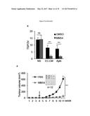 USE OF COMPOUNDS INHIBITING APELIN / APJ / GP130 SIGNALING FOR TREATING     CANCER diagram and image