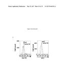 USE OF COMPOUNDS INHIBITING APELIN / APJ / GP130 SIGNALING FOR TREATING     CANCER diagram and image