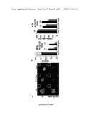 USE OF COMPOUNDS INHIBITING APELIN / APJ / GP130 SIGNALING FOR TREATING     CANCER diagram and image