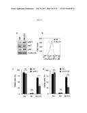 USE OF COMPOUNDS INHIBITING APELIN / APJ / GP130 SIGNALING FOR TREATING     CANCER diagram and image